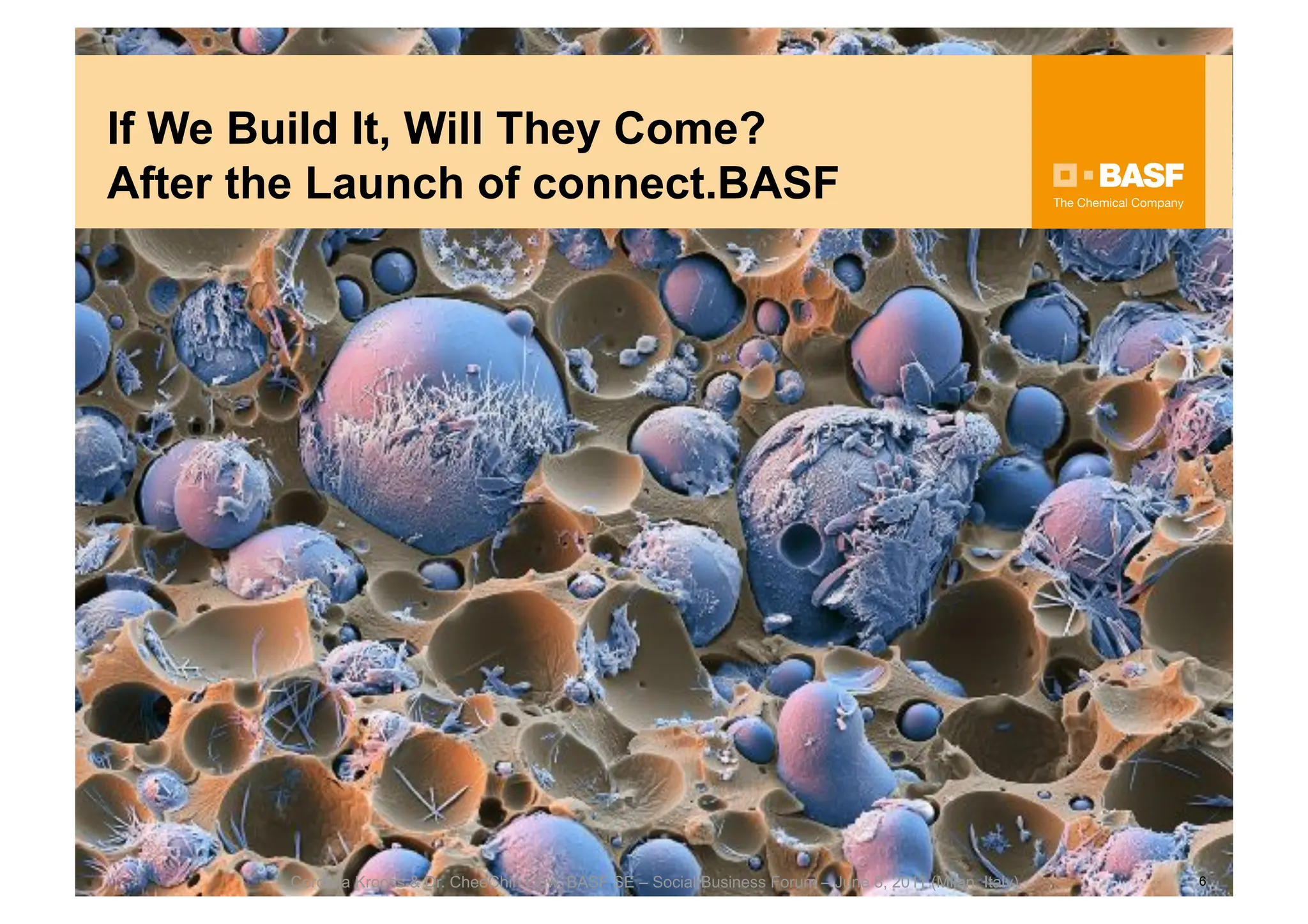 If We Build It, Will They Come?
After the Launch of connect.BASF




        Cordelia Krooss & Dr. CheeChin Liew, BASF SE – Social Business Forum – June 8, 2011 (Milan, Italy)   6
 