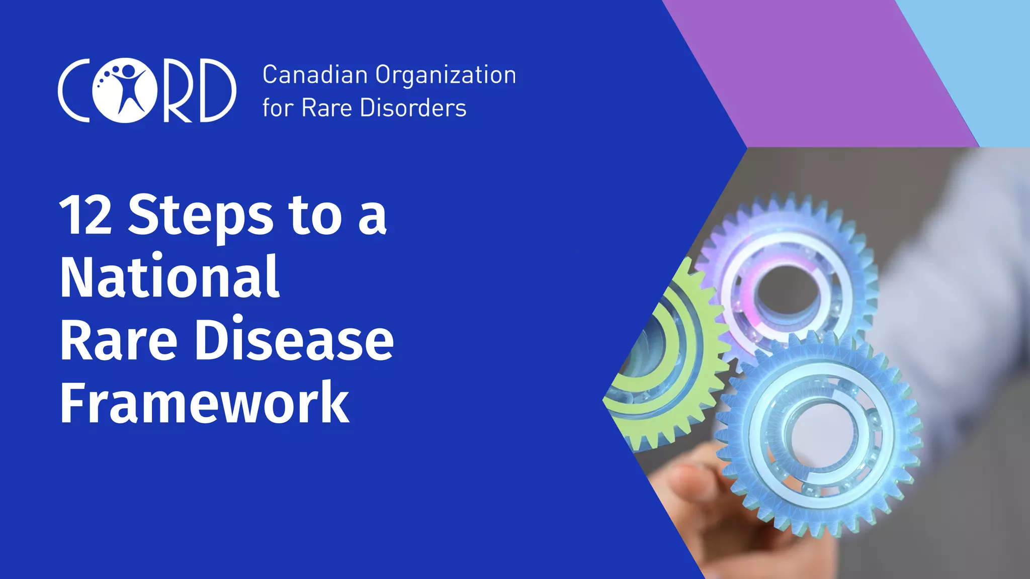 12 Steps to a
National
Rare Disease
Framework
 