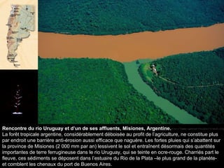 Rencontre du rio Uruguay et d’un de ses affluents, Misiones, Argentine. La forêt tropicale argentine, considérablement déboisée au profit de l’agriculture, ne constitue plus par endroit une barrière anti-érosion aussi efficace que naguère. Les fortes pluies qui s’abattent sur la province de Misiones (2 000 mm par an) lessivent le sol et entraînent désormais des quantités importantes de terre ferrugineuse dans le rio Uruguay, qui se teinte en ocre-rouge. Charriés part le fleuve, ces sédiments se déposent dans l’estuaire du Rio de la Plata –le plus grand de la planète- et comblent les chenaux du port de Buenos Aires.  