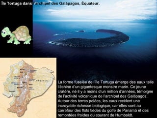 La forme fuselée de l’île Tortuga émerge des eaux telle l’échine d’un gigantesque monstre marin. Ce jeune cratère, né il y a moins d’un million d’années, témoigne de l’activité volcanique de l’archipel des Galápagos. Autour des terres pelées, les eaux recèlent une incroyable richesse biologique, car elles sont au carrefour des flots tièdes du golfe de Panamá et des remontées froides du courant de Humboldt.  Île Tortuga dans  l’archipel des Galápagos, Équateur. 