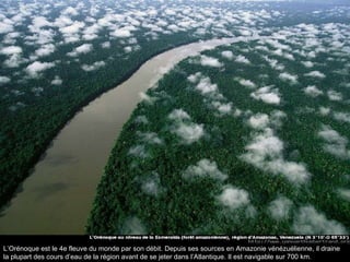 L’Orénoque est le 4e fleuve du monde par son débit. Depuis ses sources en Amazonie vénézuélienne, il draine la plupart des cours d’eau de la région avant de se jeter dans l’Atlantique. Il est navigable sur 700 km. 