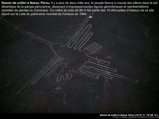 Dessin de colibri à Nazca, Pérou.  Il y a plus de deux mille ans, le peuple Nazca a creusé des sillons dans le sol désertique de la pampa péruvienne, dessinant d’impressionnantes figures géométriques et représentations stylisées de plantes ou d’animaux. Ce colibri de près de 98 m fait partie des 18 silhouettes d’oiseaux de ce site inscrit sur la Liste du patrimoine mondial de l’Unesco en 1994.  