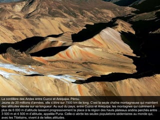 La cordillère des Andes entre Cuzco et Arequipa, Pérou. Jeune de 20 millions d’années, elle s’étire sur 7500 km de long. C’est la seule chaîne montagneuse qui maintient des altitudes élevée sur sa longueur. Au sud du pays, entre Cuzco et Arequipa, les montagnes qui culminent à plus de 6 000 m d’altitude laissent progressivement la place à la région des hauts plateaux andins perchés entre 3 500 m et 4 500 m d’altitude, appelée Puna. Celle-ci abrite les seules populations sédentaires au monde qui, avec les Tibétains, vivent à de telles altitudes. 