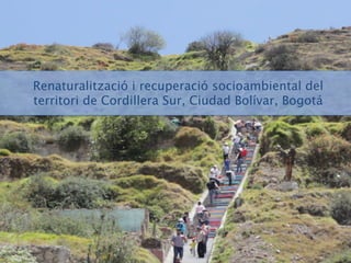 Renaturalització i recuperació socioambiental del
territori de Cordillera Sur, Ciudad Bolívar, Bogotá
 