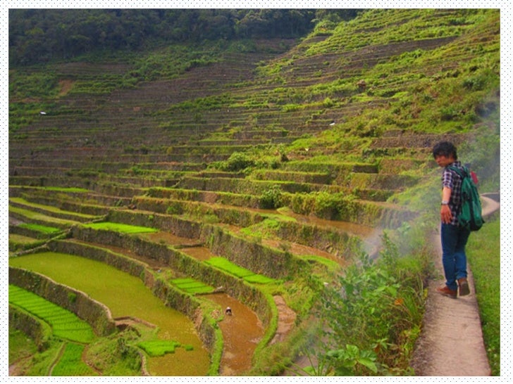 Cordillera administrative region