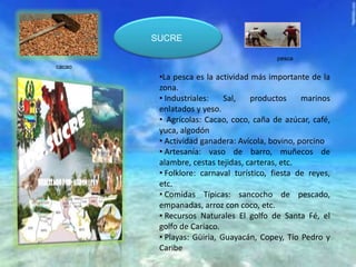 SUCRE
•La pesca es la actividad más importante de la
zona.
• Industriales: Sal, productos marinos
enlatados y yeso.
• Agrícolas: Cacao, coco, caña de azúcar, café,
yuca, algodón
• Actividad ganadera: Avícola, bovino, porcino
• Artesanía: vaso de barro, muñecos de
alambre, cestas tejidas, carteras, etc.
• Folklore: carnaval turístico, fiesta de reyes,
etc.
• Comidas Típicas: sancocho de pescado,
empanadas, arroz con coco, etc.
• Recursos Naturales El golfo de Santa Fé, el
golfo de Cariaco.
• Playas: Güiria, Guayacán, Copey, Tío Pedro y
Caribe
cacao
pesca
 