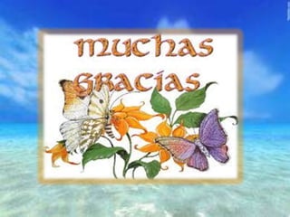 Cordillera caribe tramo oriental