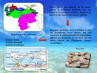 Forma parte del sistema de la costa;
debido al fenómeno tectónico que dio
origen a la cuenca de cariaco , separó a la
serranía del interior del macizo oriental.
El origen geológico de la Cordillera la dotó
de abundantes rocas calizas, que han
permitido el emplazamiento de importantes
plantas procesadoras de cemento, tal cual
como ocurre en Pertigalete (estado
Anzoátegui).
Estados que la conforman:
• Estado Sucre
• Estado Monagas
• Estado Anzoátegui
Roca caliza
 