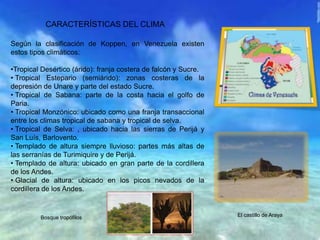 Según la clasificación de Koppen, en Venezuela existen
estos tipos climáticos:
•Tropical Desértico (árido): franja costera de falcón y Sucre.
• Tropical Estepario (semiárido): zonas costeras de la
depresión de Unare y parte del estado Sucre.
• Tropical de Sabana: parte de la costa hacia el golfo de
Paria.
• Tropical Monzónico: ubicado como una franja transaccional
entre los climas tropical de sabana y tropical de selva.
• Tropical de Selva: , ubicado hacia las sierras de Perijá y
San Luís, Barlovento.
• Templado de altura siempre lluvioso: partes más altas de
las serranías de Turimiquire y de Perijá.
• Templado de altura: ubicado en gran parte de la cordillera
de los Andes.
• Glacial de altura: ubicado en los picos nevados de la
cordillera de los Andes.
CARACTERÍSTICAS DEL CLIMA
El castillo de ArayaBosque tropófilos
 