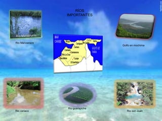 Rio Manzanare
Golfo en mochima
Rio cariaco Rio san Juan
Rio guarapiche
RÍOS
IMPORTANTES
 