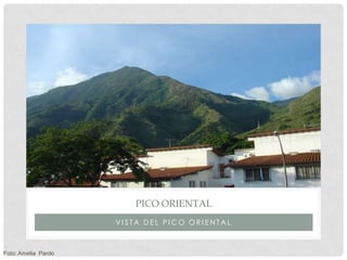 PICO ORIENTAL
                     VISTA DEL PICO ORIENTAL



Foto: Amelia Pardo
 