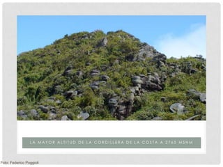 PICO NAIGUATÁ
                 LA MAYOR ALTITUD DE LA CORDILLERA DE LA COSTA A 2765 MSNM




Foto: Federico Poggioli
 