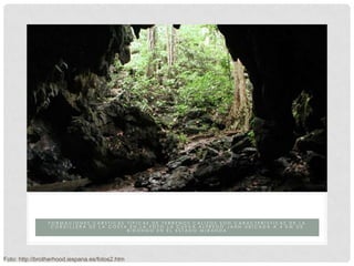 CUEVA ALFREDO JAHN
                 FORMACIONES CÁRSTICAS TÍPICAS DE TERRENOS CALIZOS SON CARACTERÍSTICAS DE LA
                  CORDILLERA DE LA COSTA EN LA FOTO LA CUEVA ALFREDO JAHN UBICADA A 4 KM DE
                                        BIRONGO EN EL ESTADO MIRANDA




Foto: http://brotherhood.iespana.es/fotos2.htm
 