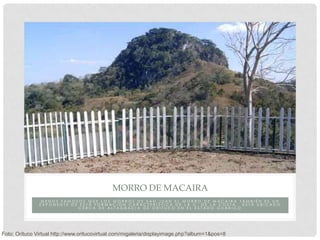 MORRO DE MACAIRA
               MENOS FAMOSOS QUE LOS MORROS DE SAN JUAN EL MORRO DE MACAIRA TAMBIÉN ES UN
               EXPONENTE DE ESTA FORMACIÓN CARACTERÍSTICA DE LA C. DE LA COSTA. ESTÁ UBICADO
                            CERCA DE ALTAGRACIA DE ORITUCO EN EL ESTADO GUÁRICO




Foto: Orituco Virtual http://www.oritucovirtual.com/migaleria/displayimage.php?album=1&pos=8
 