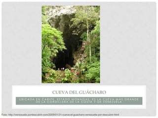 CUEVA DEL GUÁCHARO
              UBICADA EN CARIPE, ESTADO MONAGAS, ES LA CUEVA MÁS GRANDE
                      DE LA CORDILLERA DE LA COSTA Y DE VENEZUELA



Foto: http://venezuela.pordescubrir.com/2009/01/31-cueva-el-guacharo-venezuela-por-descubrir.html
 