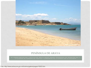 PENÍNSULA DE ARAYA
               AL FONDO RESTOS DEL CASTILLO DE ARAYA DESDE DONDE PROTEGÍAN LAS MINAS DE SAL Y
                    LA CIUDAD DE CUMANÁ DE PIRATAS Y CORSARIOS EN LA ÉPOCA DE LA COLONIA




Foto: http://www.edosucre.gov.ve/turismo/galeria/pages/10003.htm
 