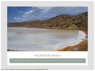SALINAS DE ARAYA
              LA PENÍNSULA DE ARAYA TIENE UN PAISAJE ÁRIDO, DEBIDO A LA ACCIÓN SECANTE DE LOS
             VIENTOS ALISIOS SOBRE ELLA. SUS MINAS DE SAL SON LAS MÁS IMPORTANTES DE VENEZUELA




Foto: Johnny Gómez en http://www.panoramio.com/photo/8512139
 