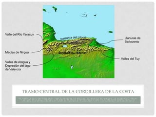 Valle del Río Yaracuy
                                                                                                                                                        Llanuras de
                                                                                                                                                        Barlovento


Macizo de Nirgua

                                                                                                                                                   Valles del Tuy
Valles de Aragua y
Depresión del lago
de Valencia




                   TRAMO CENTRAL DE LA CORDILLERA DE LA COSTA
         D E        O E S T E A E S T E E N C O N T R AM O S T R E S E L E ME N T O S D E R E L I E V E : E L MAC I Z O D E N I R G U A, L A S E R R AN Í A L I T O R AL
               Y     L A S E R R AN Í A D E L I N T E R I O R . L AS D O S S E R R AN Í AS C O R R E N P AR AL E L E AS E N D I R E C C I Ó N O E S T E - E S T E , L AS
                   S E P AR AN L AS D E P R E S I O N E S D E L L AG O D E V AL E N C I A, V AL L E S D E L T U Y Y L AS L L AN U R AS D E B AR L O V E N T O
 