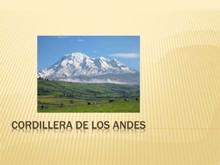 CORDILLERA DE LOS ANDES
 
