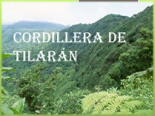 Cordillera de
Tilarán
 