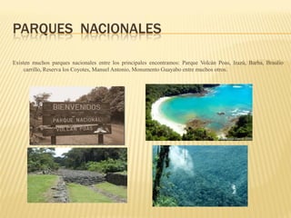 PARQUES NACIONALES

Existen muchos parques nacionales entre los principales encontramos: Parque Volcán Poas, Irazú, Barba, Braulio
     carrillo, Reserva los Coyotes, Manuel Antonio, Monumento Guayabo entre muchos otros.
 