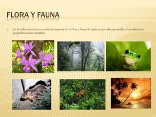 FLORA Y FAUNA
   En el valle central se encuentra la mayoría de la flora y fauna del país ya que alberga mucha diversidad tanto
    geográfica como climática.
 