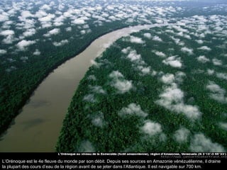 L’Orénoque est le 4e fleuve du monde par son débit. Depuis ses sources en Amazonie vénézuélienne, il draine la plupart des cours d’eau de la région avant de se jeter dans l’Atlantique. Il est navigable sur 700 km. 