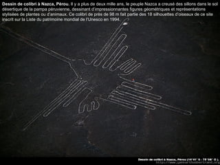 Dessin de colibri à Nazca, Pérou.  Il y a plus de deux mille ans, le peuple Nazca a creusé des sillons dans le sol désertique de la pampa péruvienne, dessinant d’impressionnantes figures géométriques et représentations stylisées de plantes ou d’animaux. Ce colibri de près de 98 m fait partie des 18 silhouettes d’oiseaux de ce site inscrit sur la Liste du patrimoine mondial de l’Unesco en 1994.  