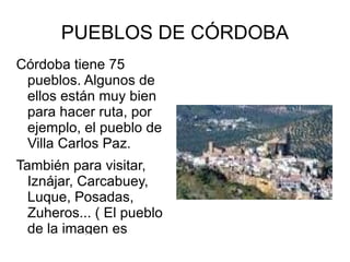 UN POCO SU GASTRONOMÍA En la gastronomía de Córdoba se distinguen mucho los productos de la huerta, hortalizas, verduras...También hay que resaltar su charcutería, sus jamones, salchichones... Y el gusto por las especies.  
