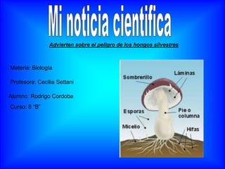 Materia: Biología
Alumno: Rodrigo Cordoba
Curso: 8 “B”
Profesora: Cecilia Settani
Advierten sobre el peligro de los hongos silvestres
 