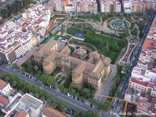 Facultad de Veterinaria 