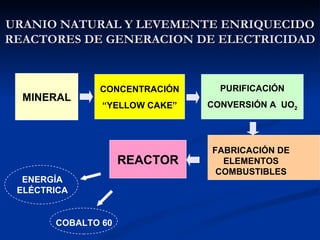 URANIO NATURAL Y LEVEMENTE ENRIQUECIDO REACTORES DE GENERACION DE ELECTRICIDAD MINERAL PURIFICACIÓN CONVERSIÓN A  UO 2 CONCENTRACIÓN “ YELLOW CAKE” REACTOR FABRICACIÓN   DE ELEMENTOS COMBUSTIBLES ENERGÍA ELÉCTRICA COBALTO 60 