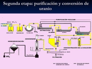 Segunda etapa: purificación y conversión de uranio  