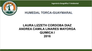 LAURA LIZZETH CORDOBA DIAZ
ANDREA CAMILA LINARES MAYORGA
QUIMICA I
2016
Ingeniería Geográfica Y Ambiental
 