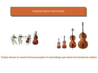 Cordofonos