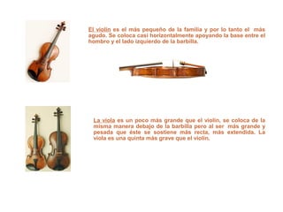 Cordofonos
