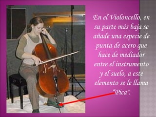 En el Violoncello, en
su parte más baja se
añade una especie de
 punta de acero que
  hace de mediador
entre el instrumento
  y el suelo, a este
elemento se le llama
        “Pica".
 