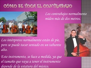 Los contrabajos normalmente
                              miden más de dos metros.




Los intérpretes normalmente están de pie,
pero se puede tocar sentado en un taburete
alto.
Este instrumento, se hace a medida, ya que
el tamaño que vaya a tener el instrumento
depende de la estatura del músico.
 