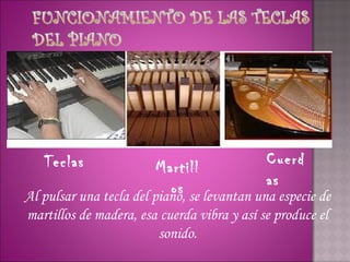 Teclas                Martill             Cuerd
                                             as
                           os se levantan una especie de
Al pulsar una tecla del piano,
martillos de madera, esa cuerda vibra y así se produce el
                        sonido.
 