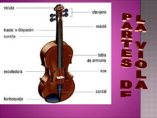 Instrumentos de cuerda