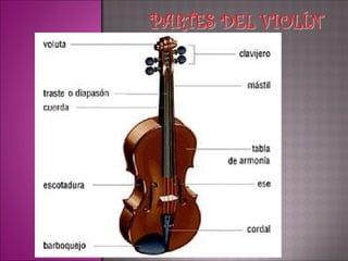 LISTA con los nombres de los instrumentos de CUERDA y sus CARACTERÍSTICAS