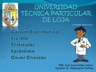 La Universidad católica de Loja
POR: Julio David Peláez Castro.
Docente: Dr. Washington Orellana
 