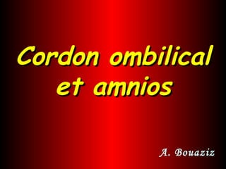 Cordon ombilicalCordon ombilical
et amnioset amnios
A. Bouaziz
 