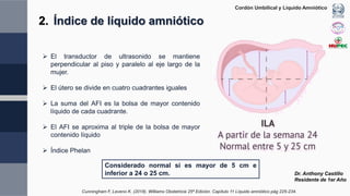 Phelan Normal Cordon Umbilical Anthony-1.pdfbbnnnnnnnnn | PDF