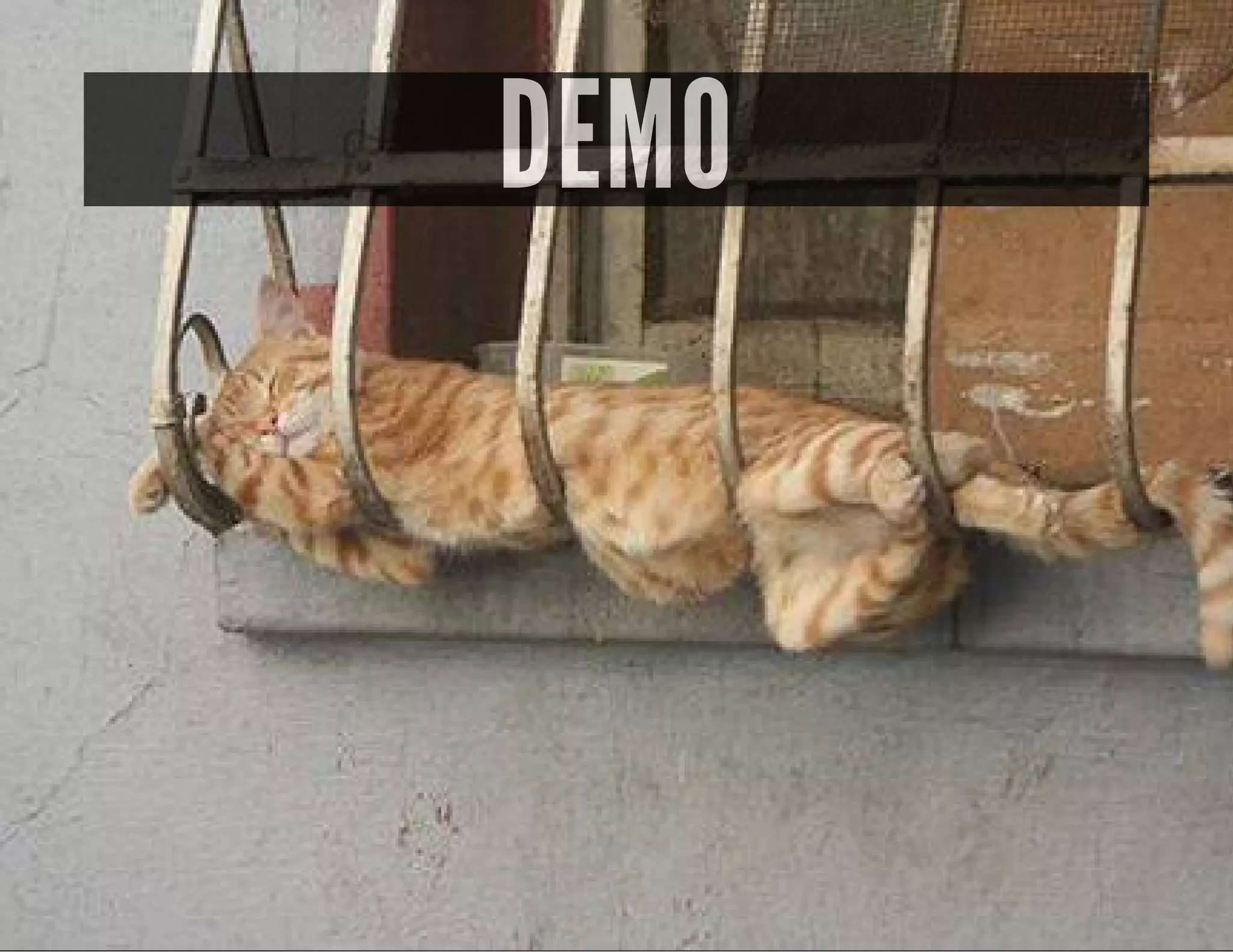 DEMO
 
