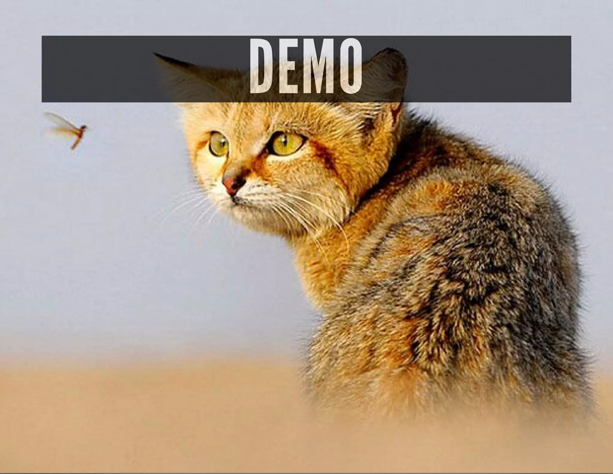 DEMO
 