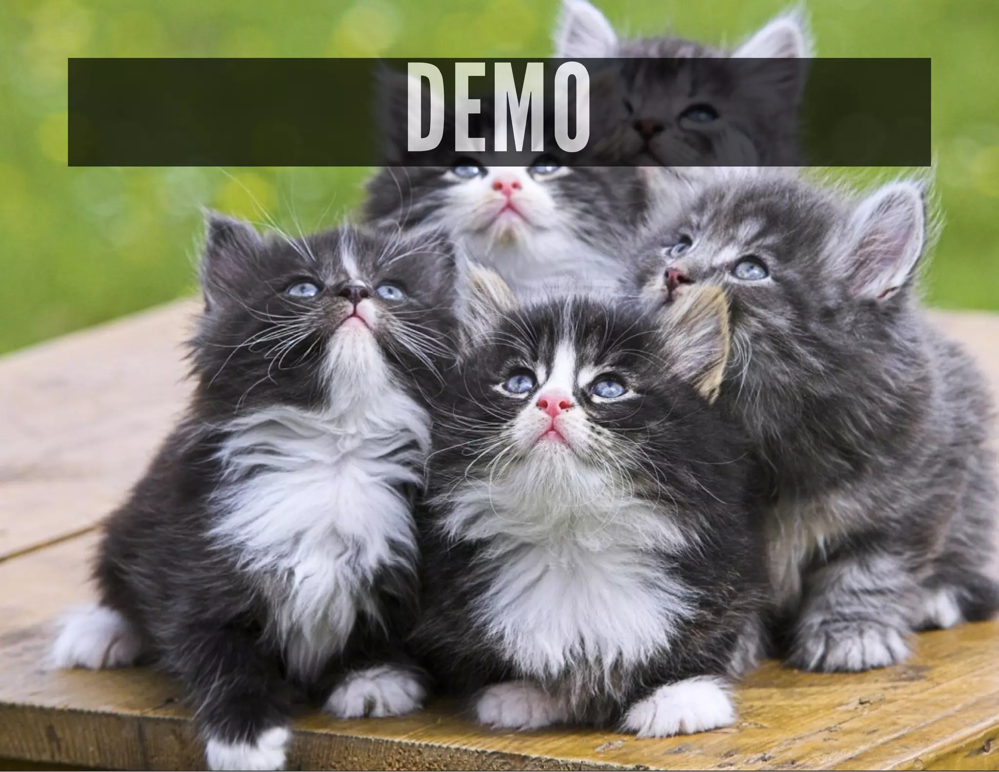 DEMO
 