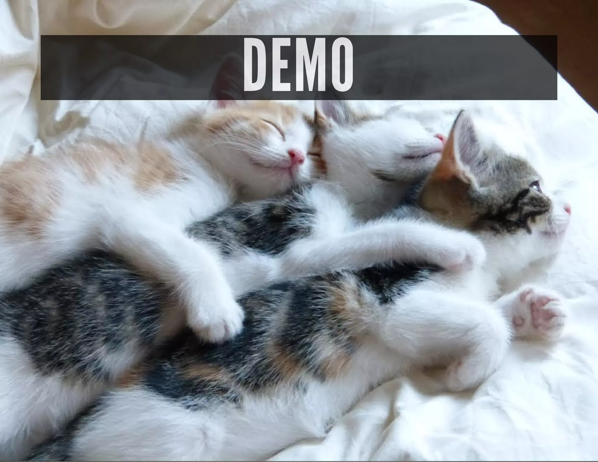DEMO
 