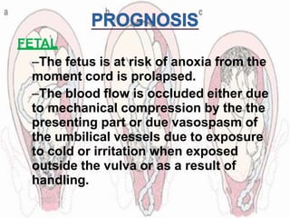 FETAL
–The fetus is at risk of anoxia from the
moment cord is prolapsed.
–The blood flow is occluded either due
to mechanical compression by the the
presenting part or due vasospasm of
the umbilical vessels due to exposure
to cold or irritation when exposed
outside the vulva or as a result of
handling.
 