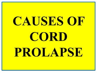 CAUSES OF
CORD
PROLAPSE
 